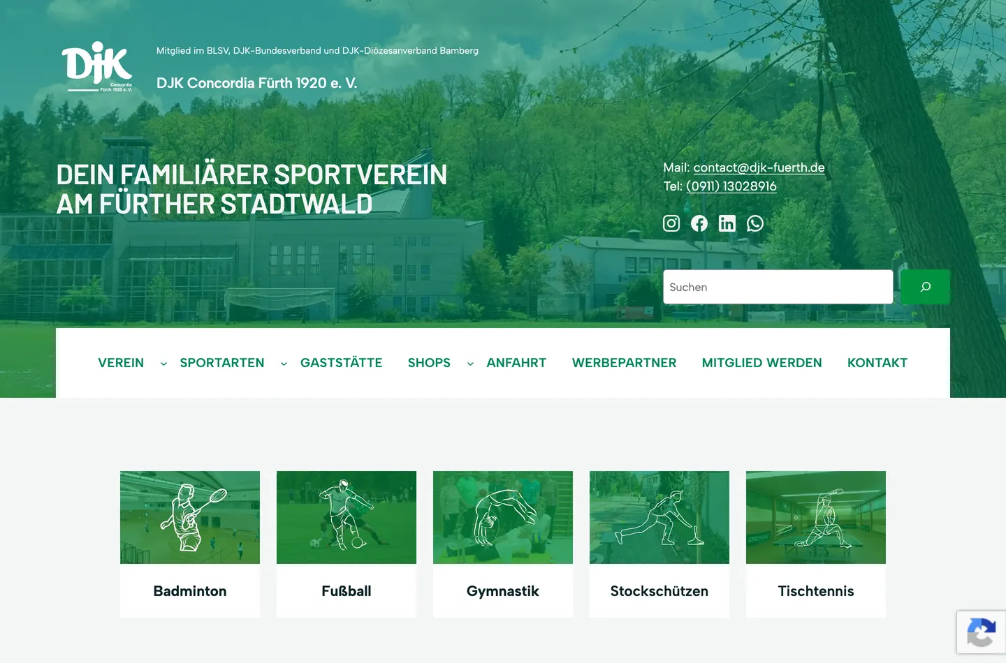 Vorschau der Website DJK Fürth